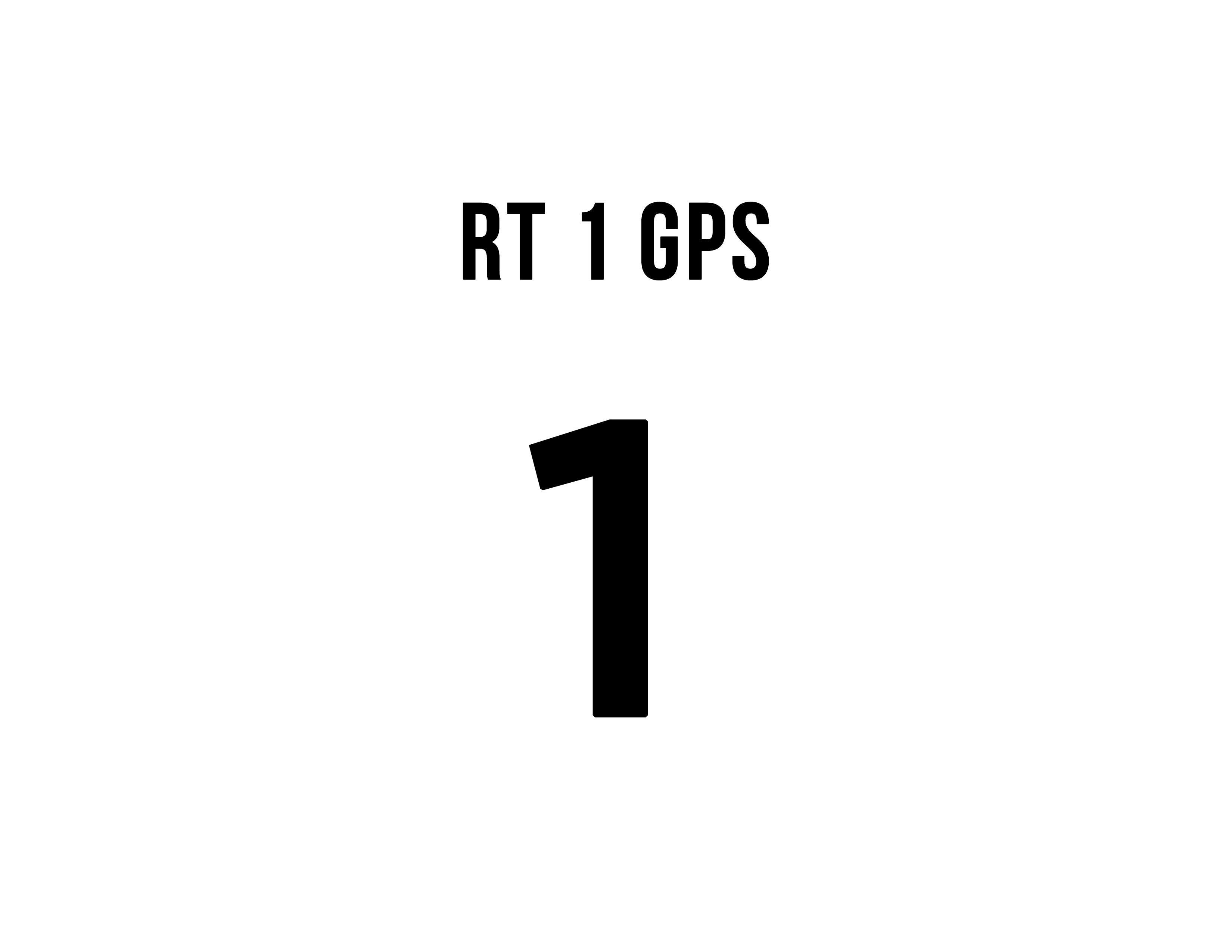 RT 1 GPS